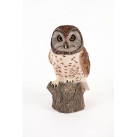 Perched Owl