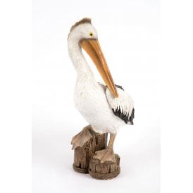 Perched Pelican