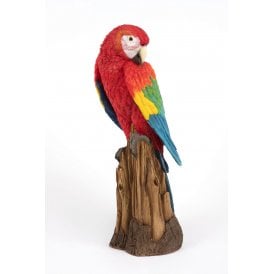 Perched Red Macaw