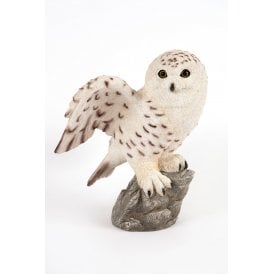 Perched Snowy Owl