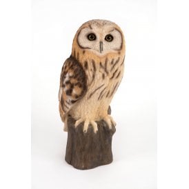 Perched Tawny Owl