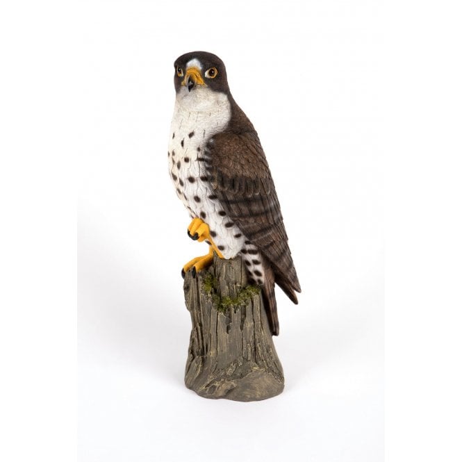 Garden Creations Peregrine Falcon