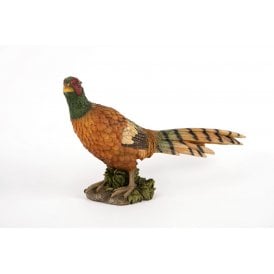 Pheasant