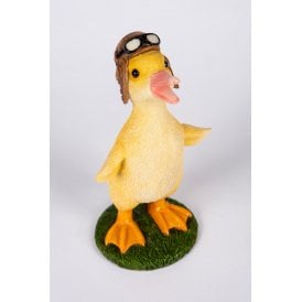 Pilot Duck