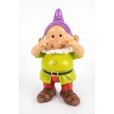 Playful Gnome