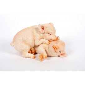 Playful Pigs