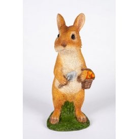 Rabbit Picking Carrots