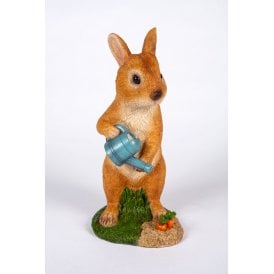 Rabbit Watering