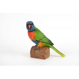 Rainbow Lorikeet
