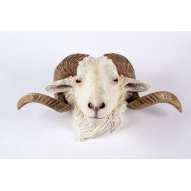 Ram Head Wall Dacor