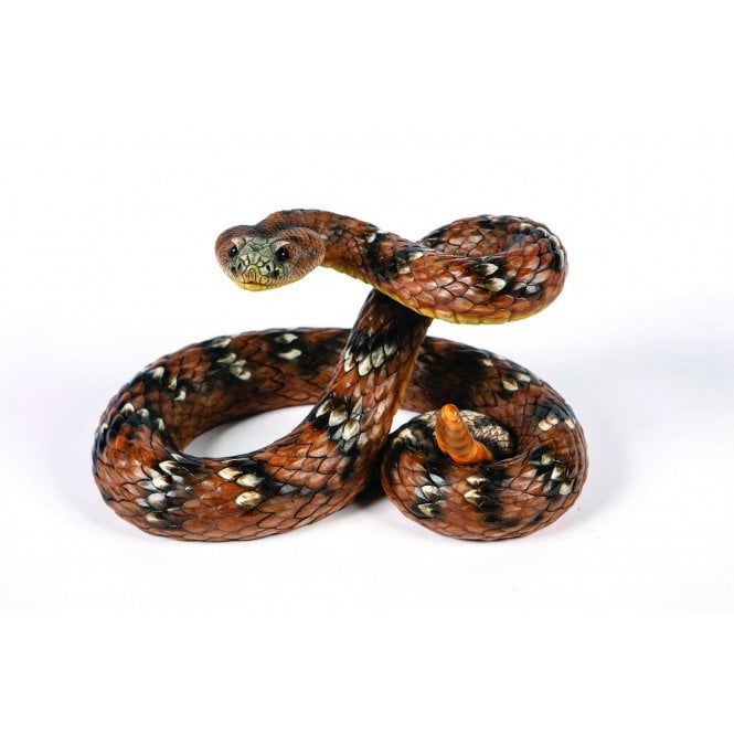 Garden Creations Rattle Snake