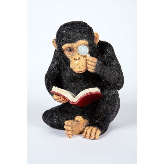 Garden Creations Reading Chimp