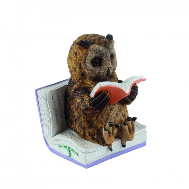 Garden Creations Reading Owl