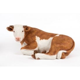 Resting Brown Cow