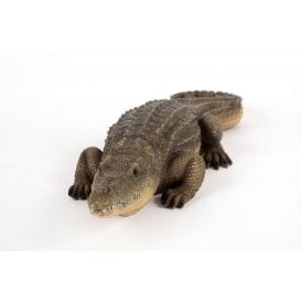 Resting Crocodile
