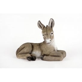 Resting Grey Donkey