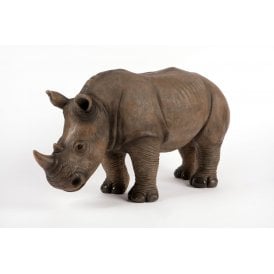 Rhino