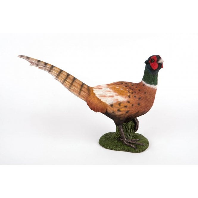 Garden Creations Ring Neck Pheasant