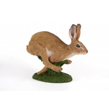Running Hare