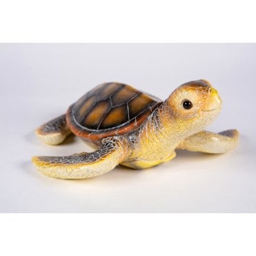 Sea Turtle