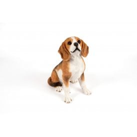 Sitting Beagle