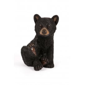 Sitting Bear Cub