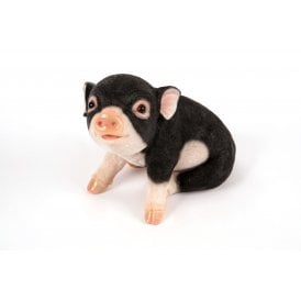 Sitting Black Piglet