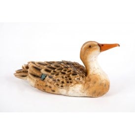 Sitting Duck