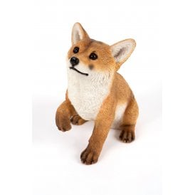 Sitting Fox Cub