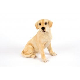 Sitting Golden Labrador