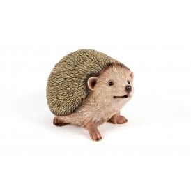 Sitting Hedgehog
