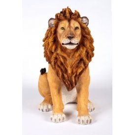 Sitting Lion