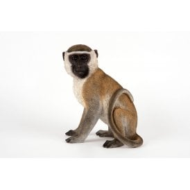 Sitting Monkey