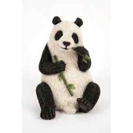 Sitting Panda