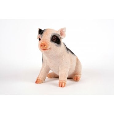 Sitting Piglet