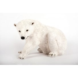 Sitting Polar Bear