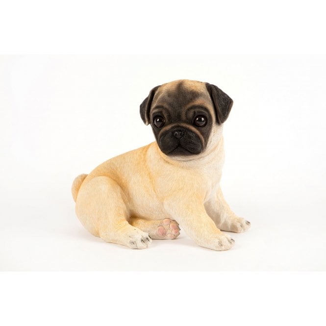 Garden Creations Sitting Pug