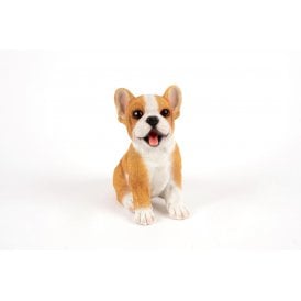Sitting Pup