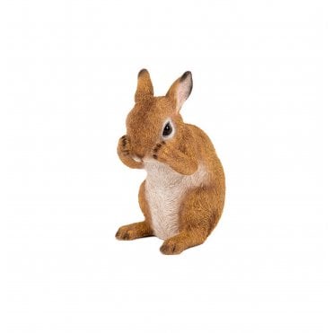 Sitting Rabbit