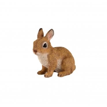 Sitting Rabbit