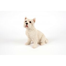 Sitting West Highland Terrier