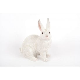Sitting White Rabbit