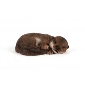 Sleeping Baby Otter