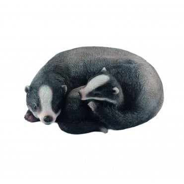 Sleeping Badgers