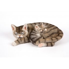 Sleeping Cat & Kitten
