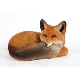 Sleeping Fox Cub