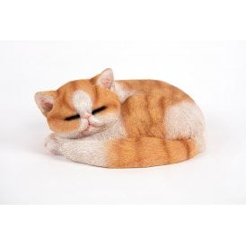 Sleeping Garfield