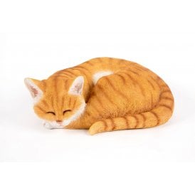 Sleeping Ginger Cat