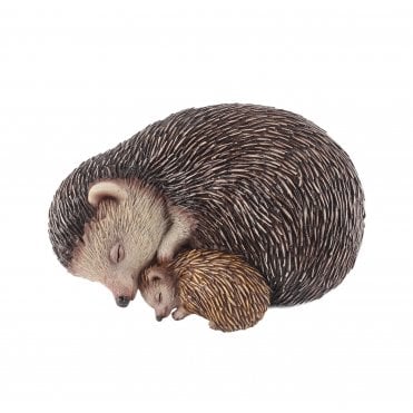 Sleeping Hedgehogs