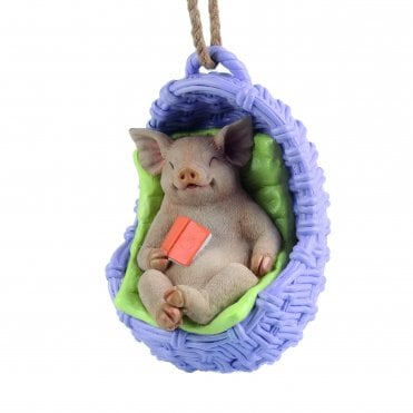 Sleeping Pig on Swing